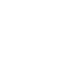 Logo NANOePhotoN